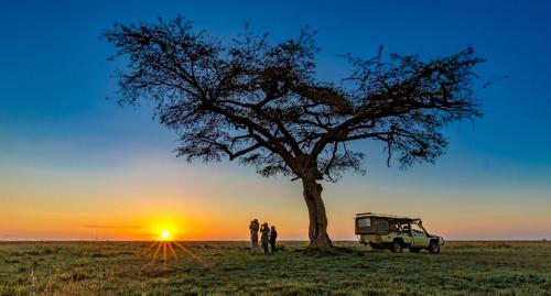 Game drive at sunrise