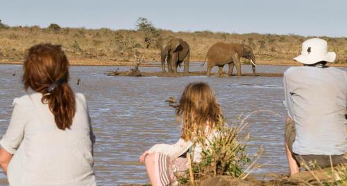 Sitting with elephants at the Mugie dam