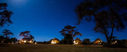 Ekorian;s Mugie Camp at night