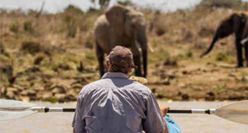 Kayaking with elephants